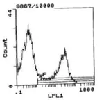 Thermo Fisher Scientific Mouse anti-Rat Kappa Light Chain Secondary Antibody, Biotin