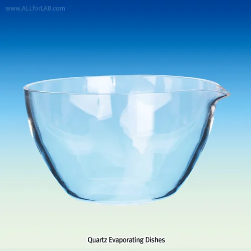 WITEG Quartz Evaporating Dishes