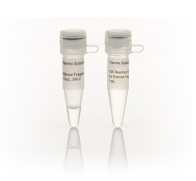 Thermo Fisher Scientific Klenow Fragment, LC (2 U/μL)
