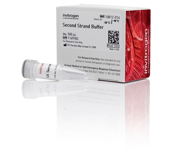 Thermo Fisher Scientific Second Strand Buffer