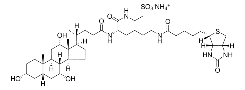 Merck Taurocholyl-Lys-Biotin