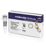 Thermo Fisher Scientific CpG Methylated Jurkat Genomic DNA