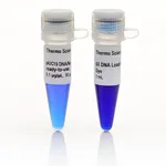 Thermo Fisher Scientific pUC19 DNA/MspI (HpaII) Marker, ready-to-use