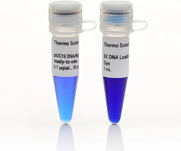 Thermo Fisher Scientific pUC19 DNA/MspI (HpaII) Marker, ready-to-use