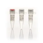 Thermo Fisher Scientific T4 DNA Ligase (5 U/μL), 1,000 units