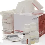 Thermo Fisher Scientific PureLink Pro 96 Viral RNA/DNA Purification Kit