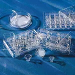 Corning Transwell Permeable Supports, Polycarbonate (PC) Membrane