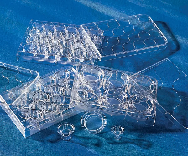 Corning Transwell-Clear Inserts, Polyester (PET) membrane