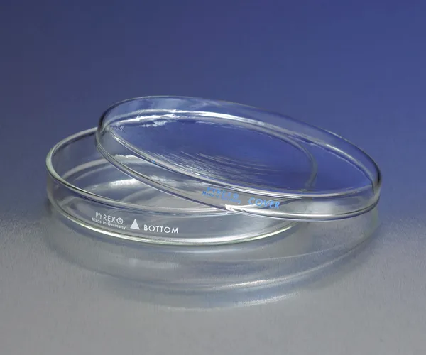 Corning PYREX Petri Dishes Bottom Only