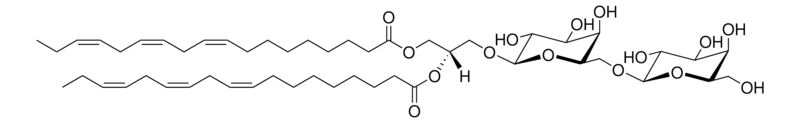 Merck DGDG