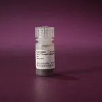 Thermo Fisher Scientific Pierce Protein A Magnetic Beads, 1 mL