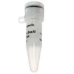 Thermo Fisher Scientific BseXI Buffer (10X)