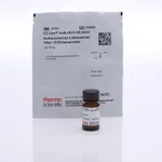 Thermo Fisher Scientific EZ-Link Sulfo-NHS-SS-Biotin, 100 mg