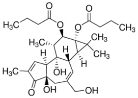 Merck PHORBOL 12,13-DIBUTYRATE