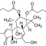 Merck PHORBOL 12,13-DIBUTYRATE