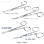 HAMMACHER Dissecting Scissors