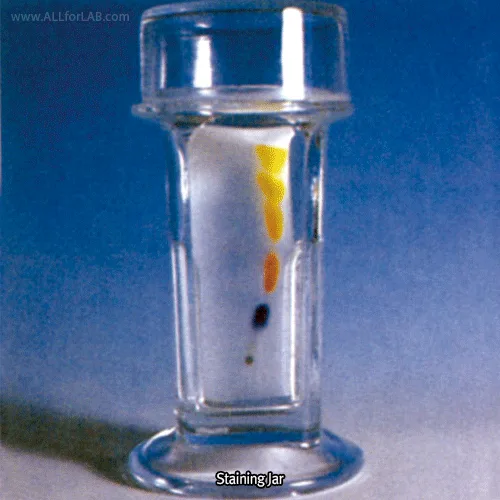 WHEATON Glass Staining Jar