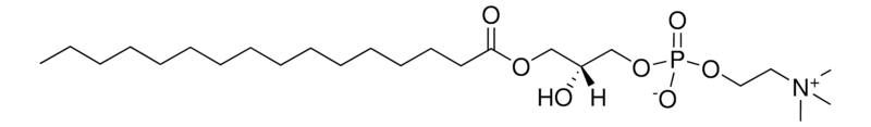Merck Soy Lyso PC