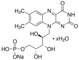 Merck RIBOFLAVIN 5``-MONOPHOSPHATE SODIUM&