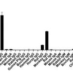 Thermo Fisher Scientific Goat anti-Human IgG Fc Recombinant Secondary Antibody, Alexa Fluor 647