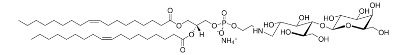 Merck 18:1 Lactosyl PE