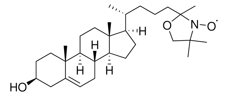 Merck CNO
