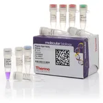 Thermo Fisher Scientific Phusion High-Fidelity PCR Kit, 200 reactions
