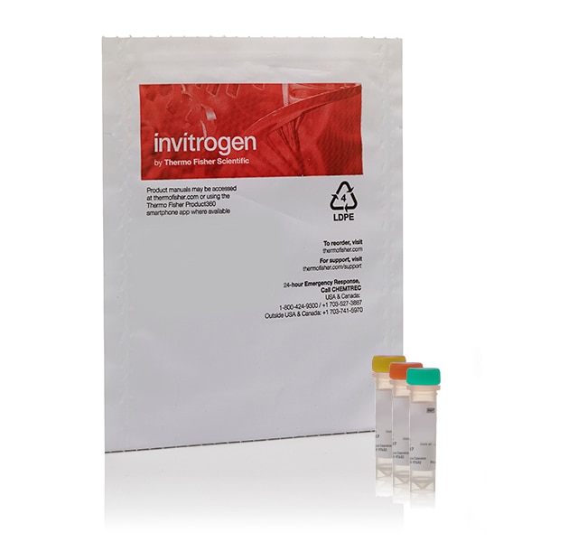 Thermo Fisher Scientific HCS LIVE/DEAD Green Kit