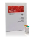 Thermo Fisher Scientific HCS LIVE/DEAD Green Kit