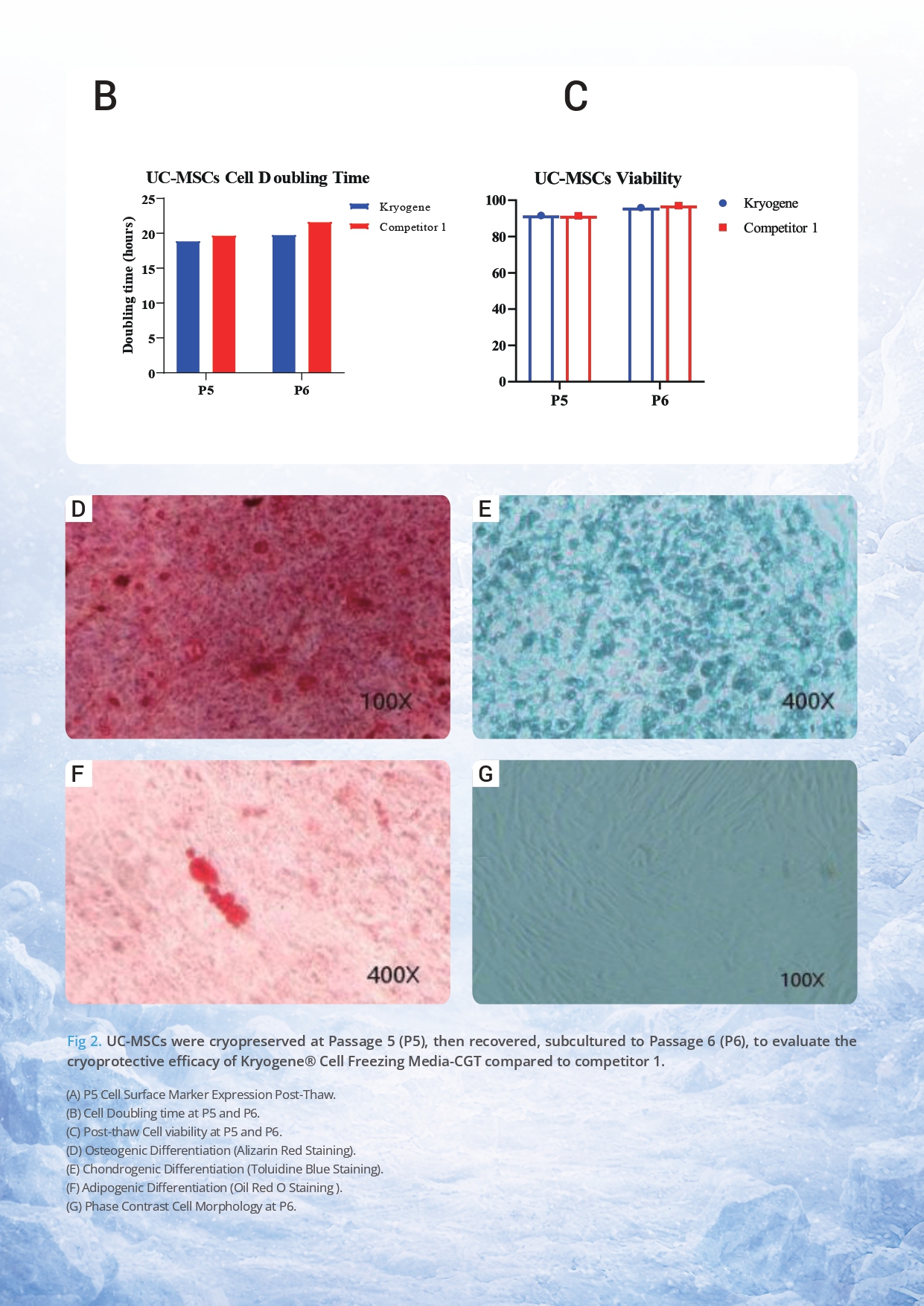 Kryogene Cell Freezing Media v2.0_page-0006.jpg