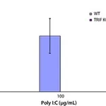 Merck POLYINOSINICPOLYCYTIDYLIC ACID POTASS&