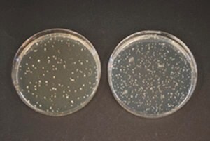 Merck TOS-propionate agar medium (acc. ISO)Nu&