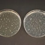 Merck TOS-propionate agar medium (acc. ISO)Nu&