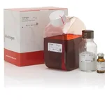 Thermo Fisher Scientific Loading Solutions