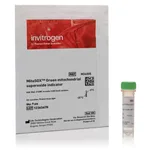 Thermo Fisher Scientific MitoSOX Green Mitochondrial Superoxide Indicator, for live-cell imaging, 1 vial x 9 ug