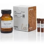 Thermo Fisher Scientific iBind Solution Kit, 1 kit
