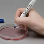 Merck SP Bel-Art(R) Belpen Marker Pen