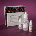 Thermo Fisher Scientific ABC Peroxidase Standard Staining Kit