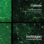 Thermo Fisher Scientific Celleste 2D Deconvolution Module, network license (includes one seat)