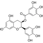 Merck (-)-EPIGALLOCATECHIN-3-O-GALLATE, EUROPE