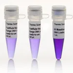Thermo Fisher Scientific FastRuler Middle Range DNA Ladder, ready-to-use