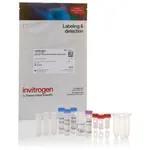 Thermo Fisher Scientific pHrodo Deep Red Antibody Labeling Kit, 3 x 100 ug Reactions