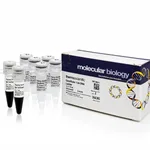 Thermo Fisher Scientific GeneRuler 1 kb DNA Ladder, 5 x 50 ug