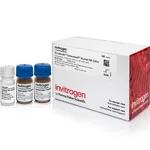 Thermo Fisher Scientific Dynabeads Untouched Human NK Cells Kit