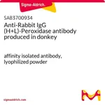 Merck Anti-Rabbit IgG (H+L)-Peroxidase antibody produced in donkey