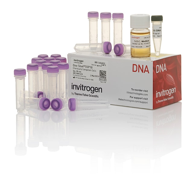 Thermo Fisher Scientific One Shot TOP10 Chemically Competent E. coli, 21 x 50 &mu;L