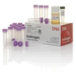 Thermo Fisher Scientific One Shot TOP10 Chemically Competent E. coli, 21 x 50 μL