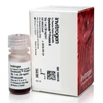 Thermo Fisher Scientific Dynabeads Protein A for Immunoprecipitation, 1 mL