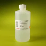 Thermo Fisher Scientific Pierce 20X Borate Buffer, 500 mL