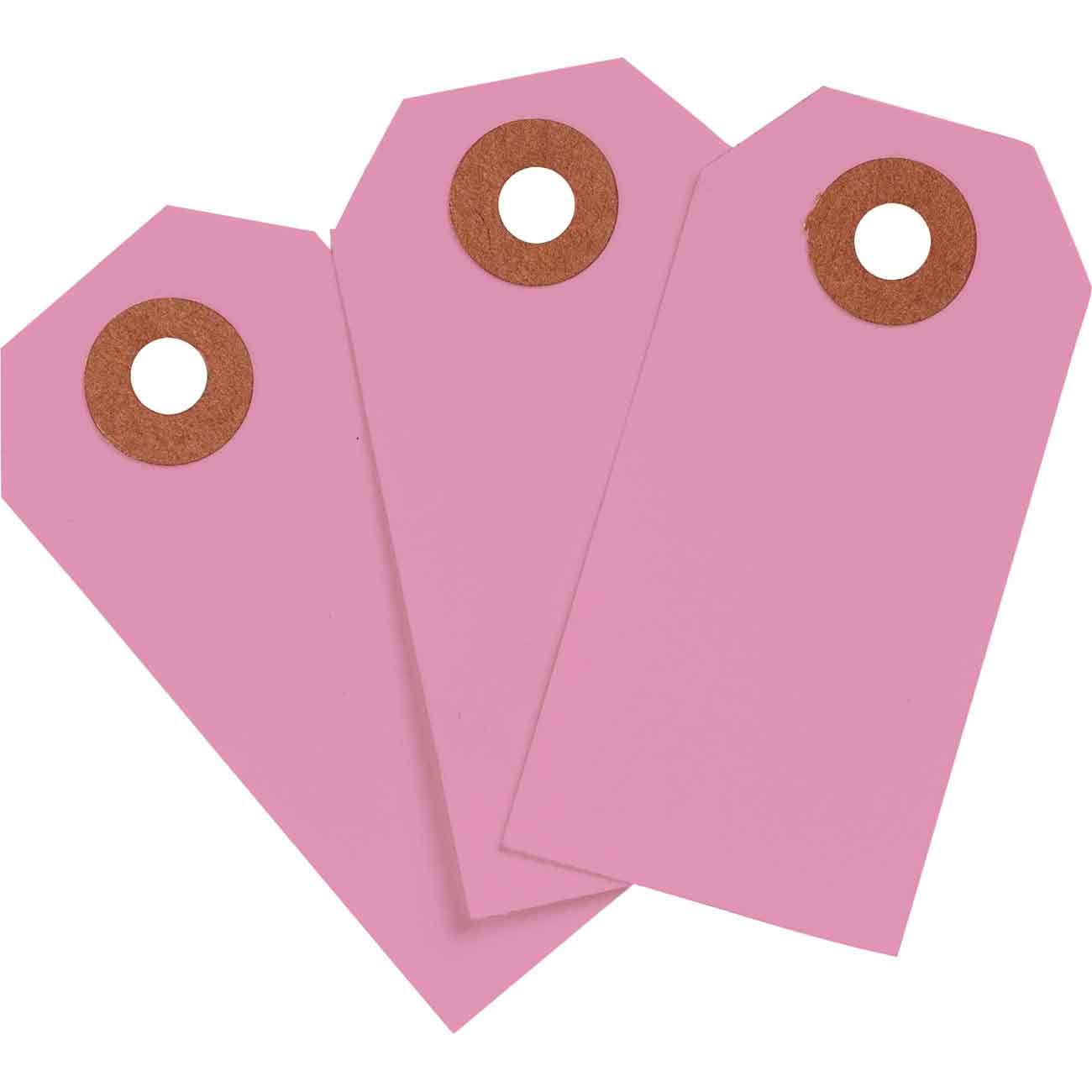 Brady Blank Heavy Duty Pink Tags | 캐시바이